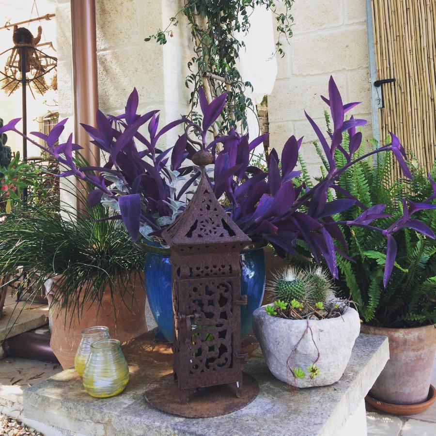 Casa Della Scrittrice Bed & Breakfast Ostuni Ngoại thất bức ảnh