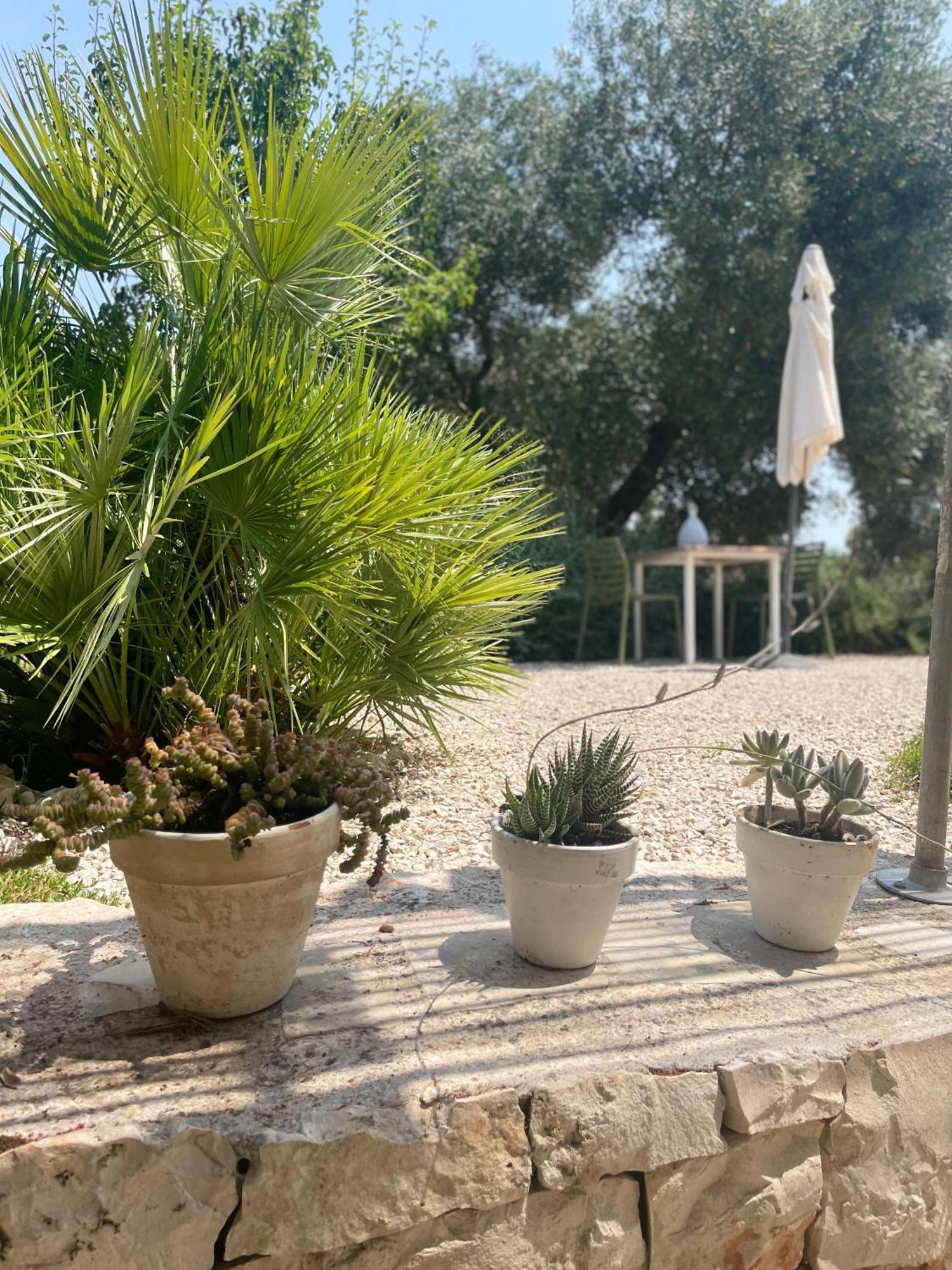 Casa Della Scrittrice Bed & Breakfast Ostuni Phòng bức ảnh