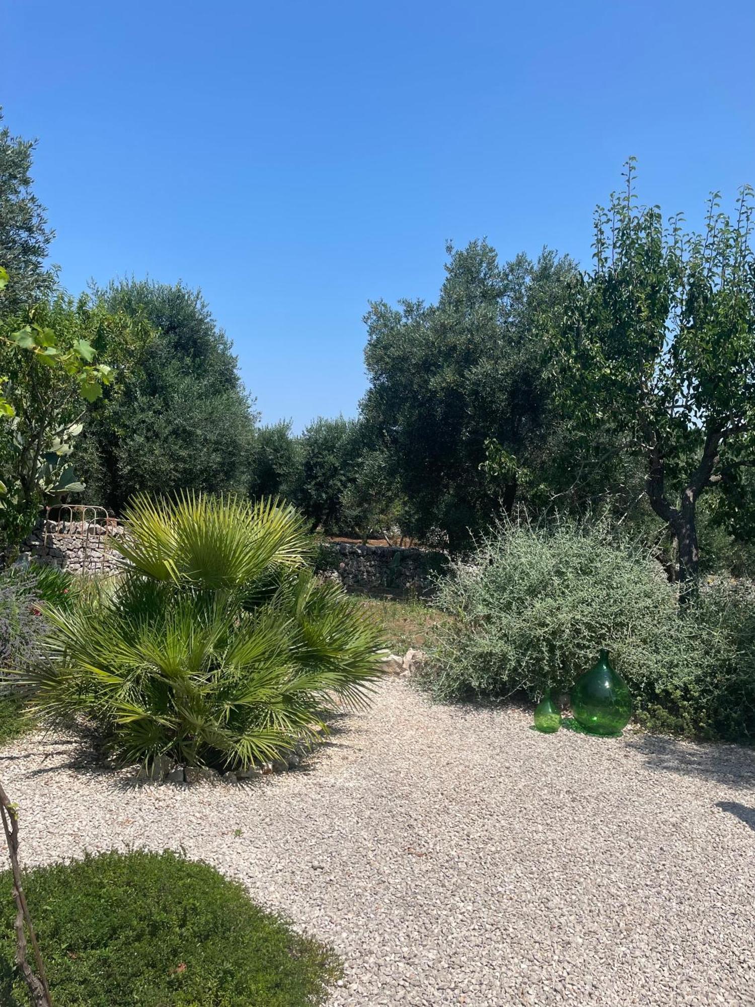Casa Della Scrittrice Bed & Breakfast Ostuni Phòng bức ảnh